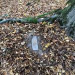 hambach hambach